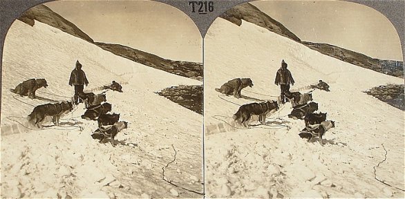 Eskimo Dog Team on the Trail ~ Hopedale, Labrador