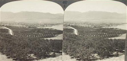 Okanagan Valley Orchards