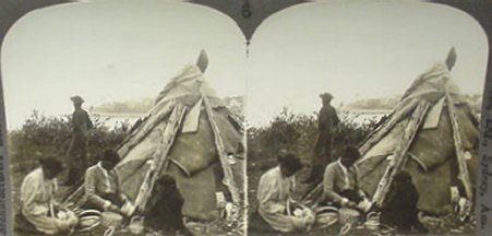 Indian Basket Weaving PEI