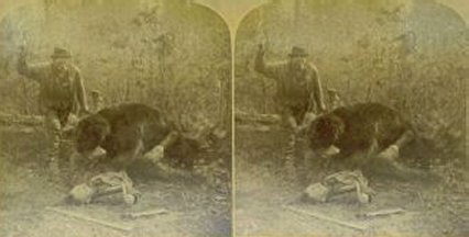 Perils of the North: Man Being Mauled by Bear
