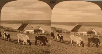 Habitant Farm on the St. Lawrence