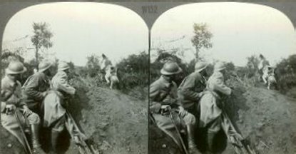 War Dog Assisting in Rescue and First Aid