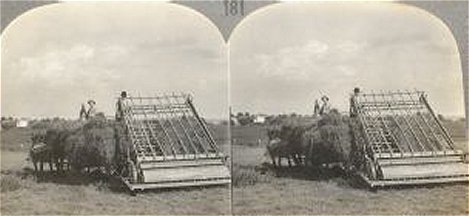 Alfalfa Hay Loader