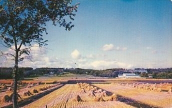 Experimental Farm 1960s