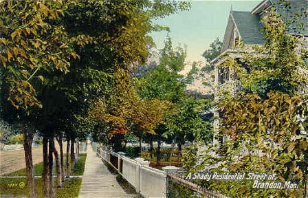 A Shady Residential Street