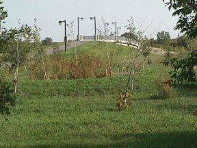 Approach To Red Willow Pedestrian Bridge