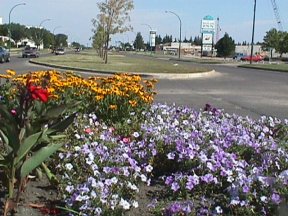 Victoria Avenue Median