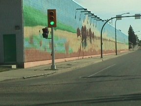 Buffalo Stampede Mural