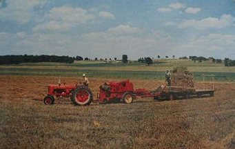 Farm Scene ~ 1960s ~ Baling