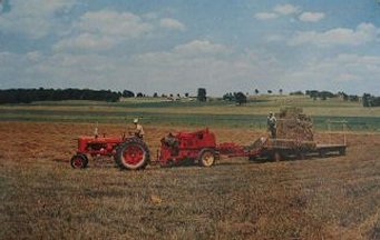 Farm Scene ~ 1960s ~ Baling