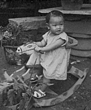 Rocking horse in China garden