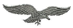 Luftwaffe Badge