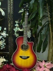 Yamaha Acoustic/Electric