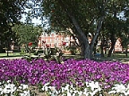 Parkland Building - BMHC Grounds