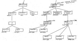 Spack Family Tree