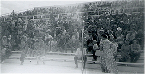 Rodeo crowd