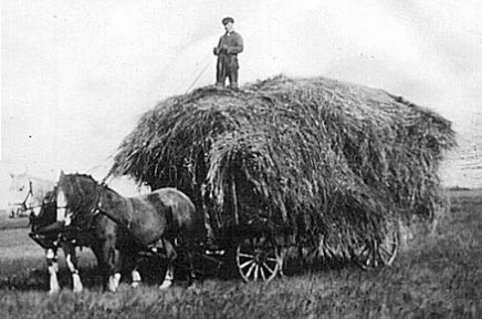 Hauling Hay