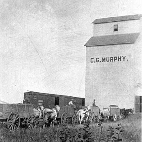 C.G. Murphy Elevator