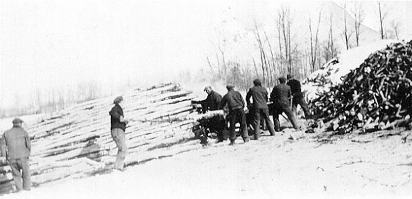 Sawing Wood