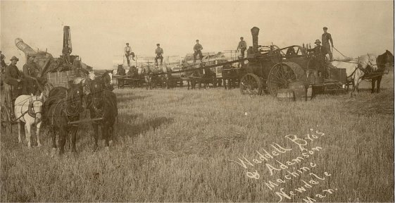 Waddel Bros. and Adamson Threshing