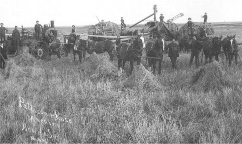 Pattison and Rose Threshing