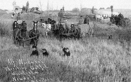 Alf Workman's Threshing Outfit