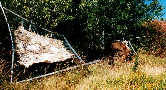 Moosehide on Stretcher