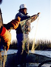 Setting a Net