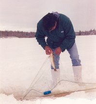 Fish in a net (Ice Fishing)