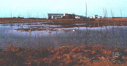 Keystone Gold Mine