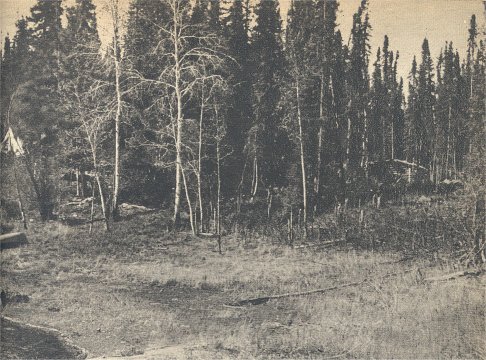 La baie du Lynx, au printemps