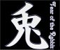 Happy Chinese New Year: Year of the Rabbit 2011
