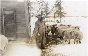 Dad Tends To Farm Chores On The Home Front