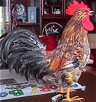 A Rhode Island Red... well, sort of