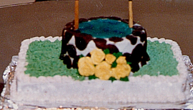 Wishing Well Cake