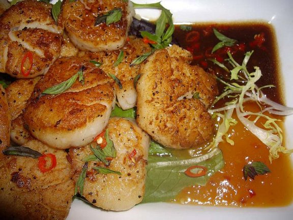 Scallops