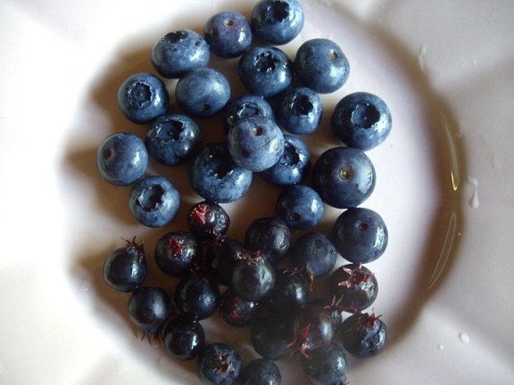 Saskatoons