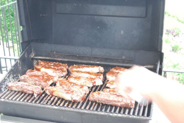 bison steaks