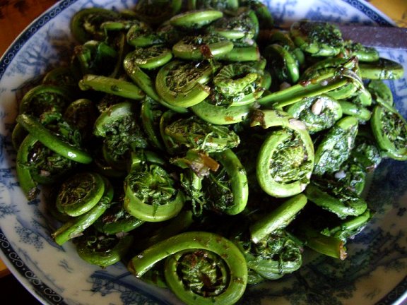 Quick sauteed fiddleheads