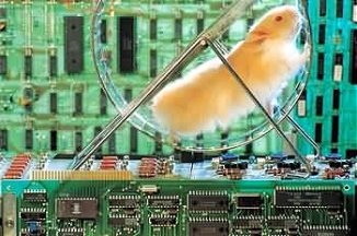 Hamster Tech