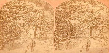 Kids lost in the snow-covered woods