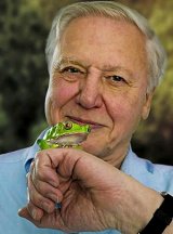 Attenborough